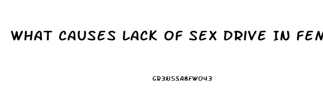 What Causes Lack Of Sex Drive In Females