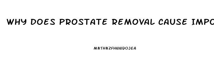 Why Does Prostate Removal Cause Impotence