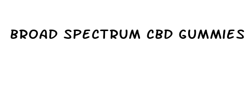 broad spectrum cbd gummies benefits