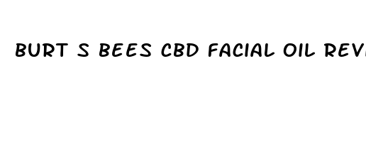 burt s bees cbd facial oil review