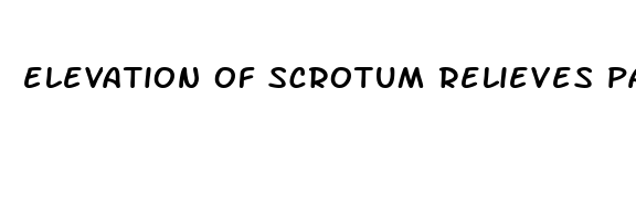 elevation of scrotum relieves pain