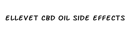 ellevet cbd oil side effects