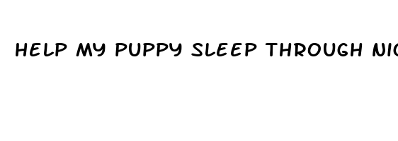 help my puppy sleep through night