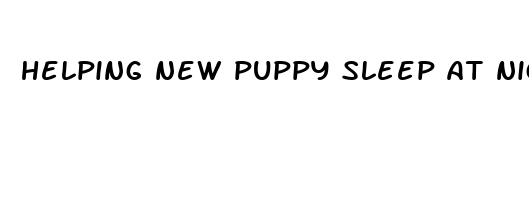 helping new puppy sleep at night