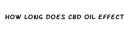 how long does cbd oil effects last