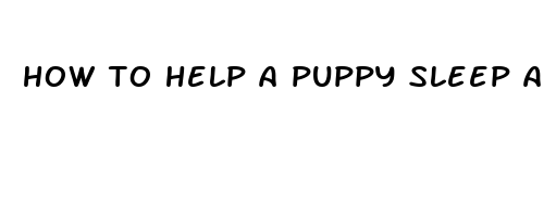 how to help a puppy sleep all night