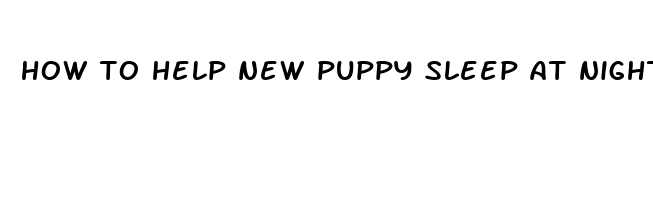 how to help new puppy sleep at night