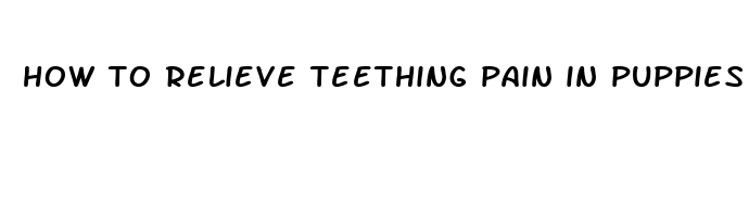 how to relieve teething pain in puppies