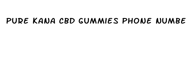 pure kana cbd gummies phone number