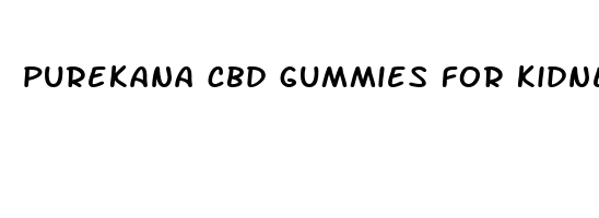 purekana cbd gummies for kidneys