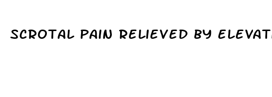 scrotal pain relieved by elevation