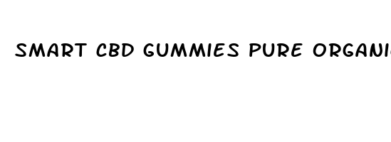 smart cbd gummies pure organic hemp extract 300mg