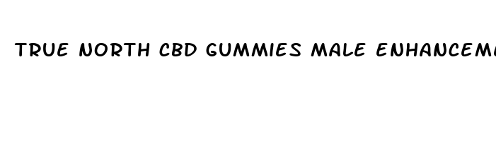 true north cbd gummies male enhancement