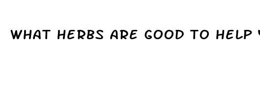 what herbs are good to help you sleep