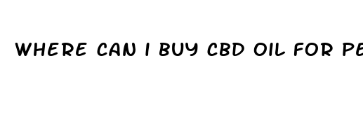 where can i buy cbd oil for pets