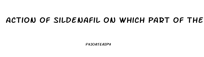 Action Of Sildenafil On Which Part Of The Penis