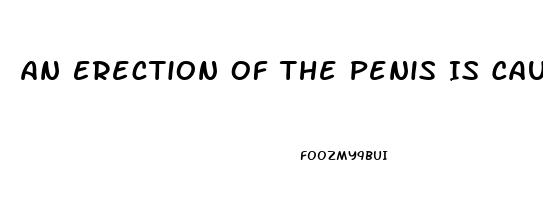 An Erection Of The Penis Is Caused By