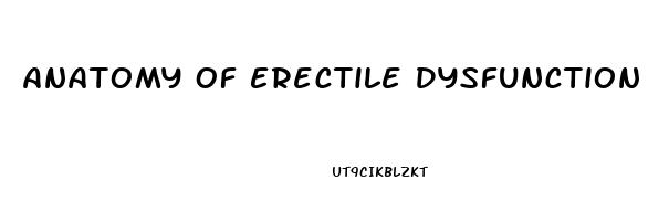 Anatomy Of Erectile Dysfunction