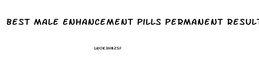 Best Male Enhancement Pills Permanent Results