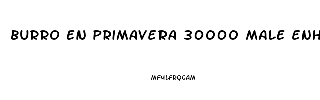 Burro En Primavera 30000 Male Enhancement Pills