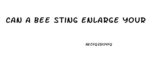 Can A Bee Sting Enlarge Your Peni Naturally