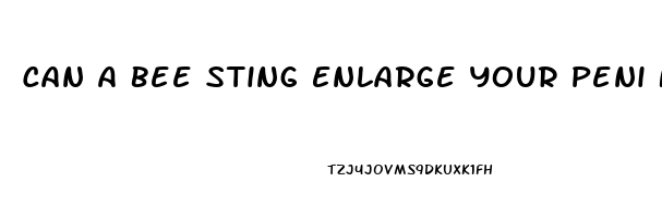 Can A Bee Sting Enlarge Your Peni Naturally