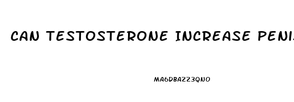 Can Testosterone Increase Penis Size