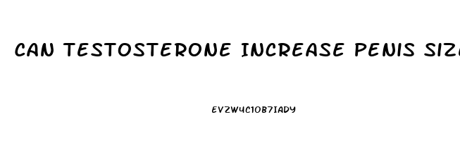 Can Testosterone Increase Penis Size