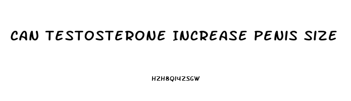 Can Testosterone Increase Penis Size