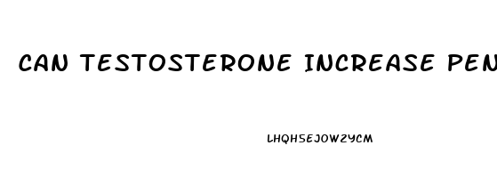 Can Testosterone Increase Penis Size