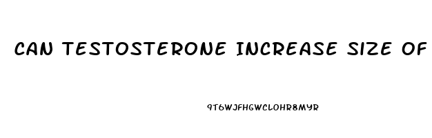 Can Testosterone Increase Size Of Penis