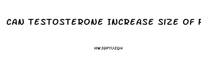 Can Testosterone Increase Size Of Penis