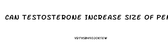 Can Testosterone Increase Size Of Penis