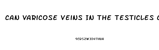 Can Varicose Veins In The Testicles Cause Erectile Dysfunction