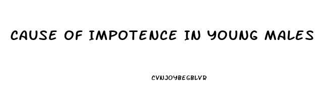 Cause Of Impotence In Young Males