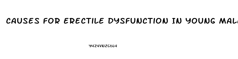 Causes For Erectile Dysfunction In Young Males