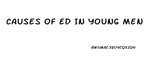 Causes Of Ed In Young Men