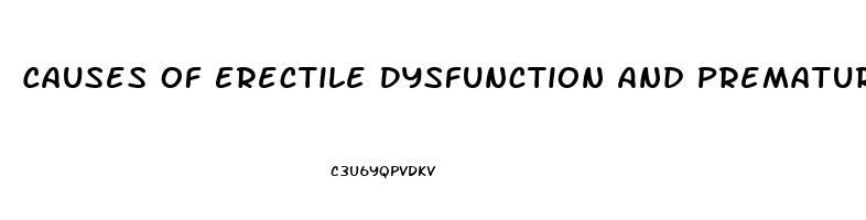 Causes Of Erectile Dysfunction And Premature Ejaculation