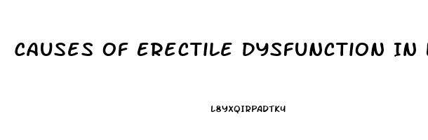 Causes Of Erectile Dysfunction In Late 20s