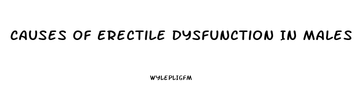 Causes Of Erectile Dysfunction In Males