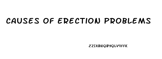 Causes Of Erection Problems