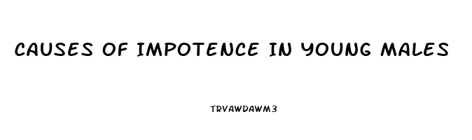 Causes Of Impotence In Young Males