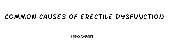 Common Causes Of Erectile Dysfunction