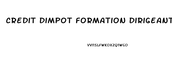 Credit Dimpot Formation Dirigeant