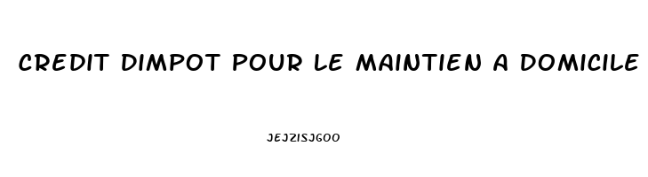 Credit Dimpot Pour Le Maintien A Domicile Dune Personne Agee