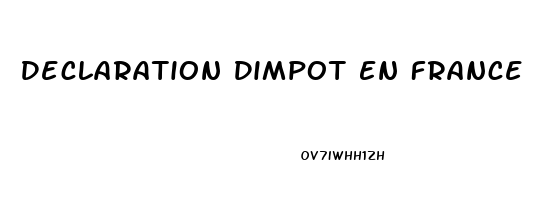 Declaration Dimpot En France