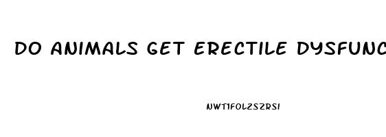 Do Animals Get Erectile Dysfunction