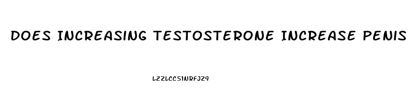 Does Increasing Testosterone Increase Penis Size