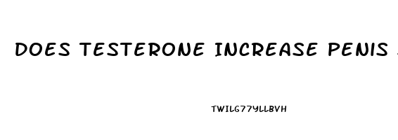 Does Testerone Increase Penis Size