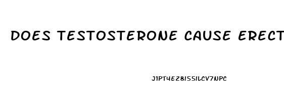 Does Testosterone Cause Erectile Dysfunction